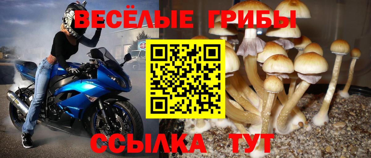Псилоцибиновые грибы Magic Shrooms Алапаевск